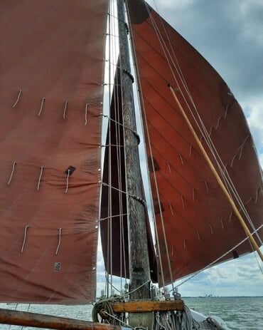 Fock und Klüver im Galopp